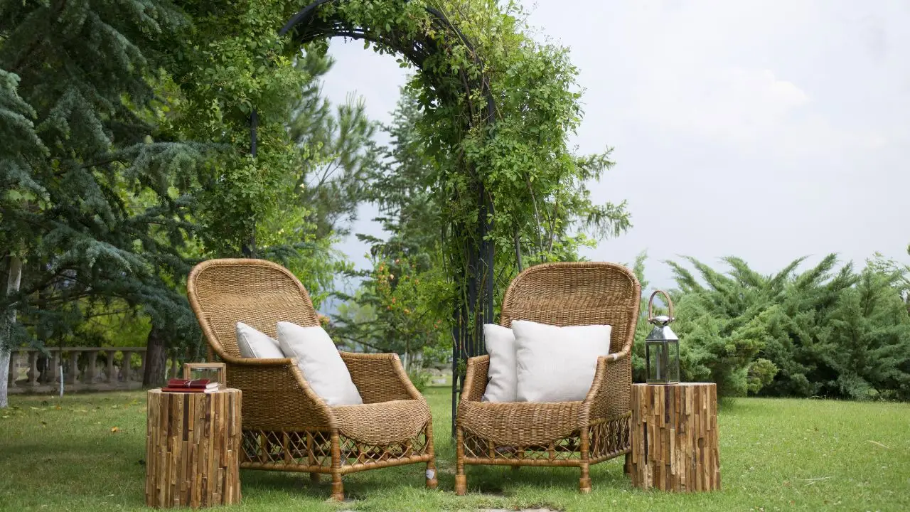Attenzione, ecco cosa non devi mai mettere in giardino Attenzione, ecco cosa non devi mai mettere in giardino