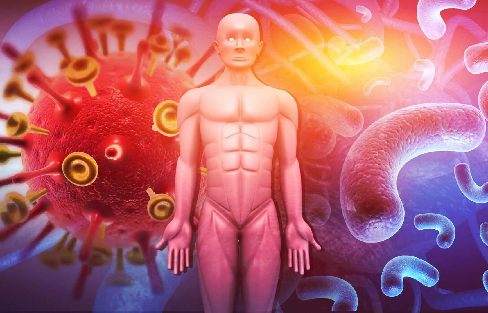 Respirare in casa sostiene il sistema immunitario: ecco come Respirare in casa sostiene il sistema immunitario: ecco come