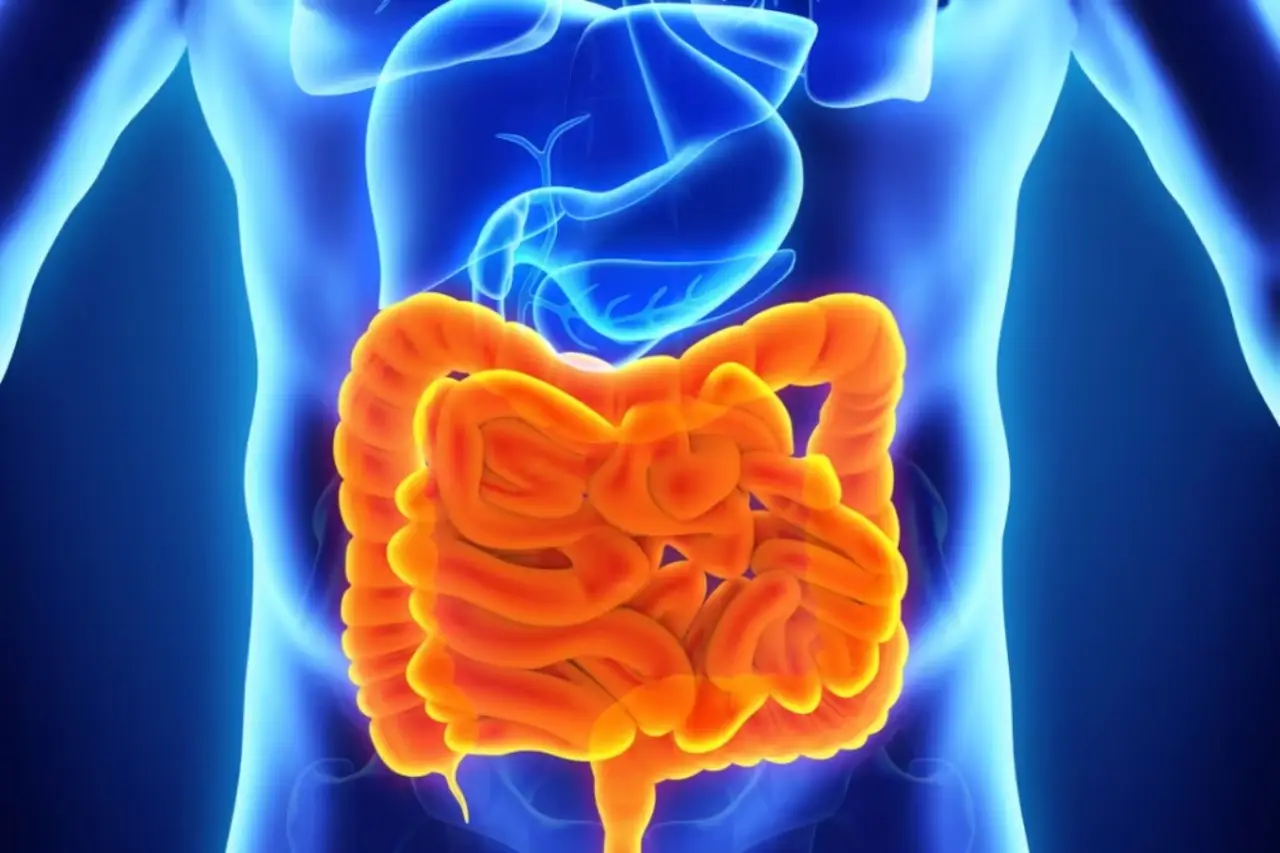Fare pasti più piccoli ma frequenti: ecco come cambia la digestione Fare pasti più piccoli ma frequenti: ecco come cambia la digestione