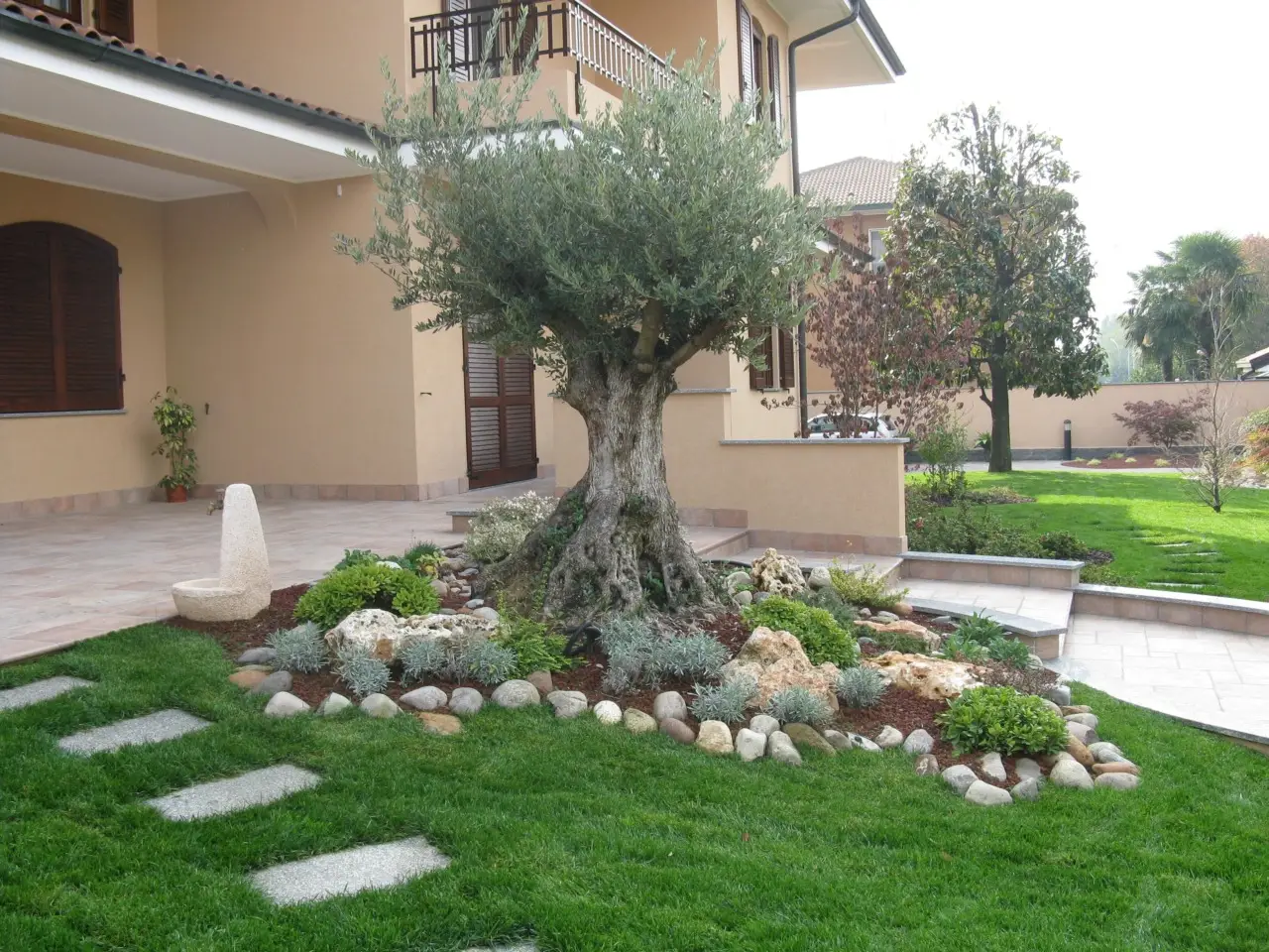 Alberi da piantare in giardino senza autorizzazioni: la lista completa Alberi da piantare in giardino senza autorizzazioni: la lista completa