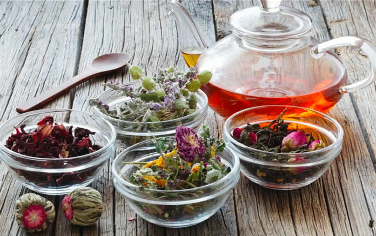 Tisane rinfrescanti con erbe mediterranee: scopri il segreto per depurare il fegato Tisane rinfrescanti con erbe mediterranee: scopri il segreto per depurare il fegato