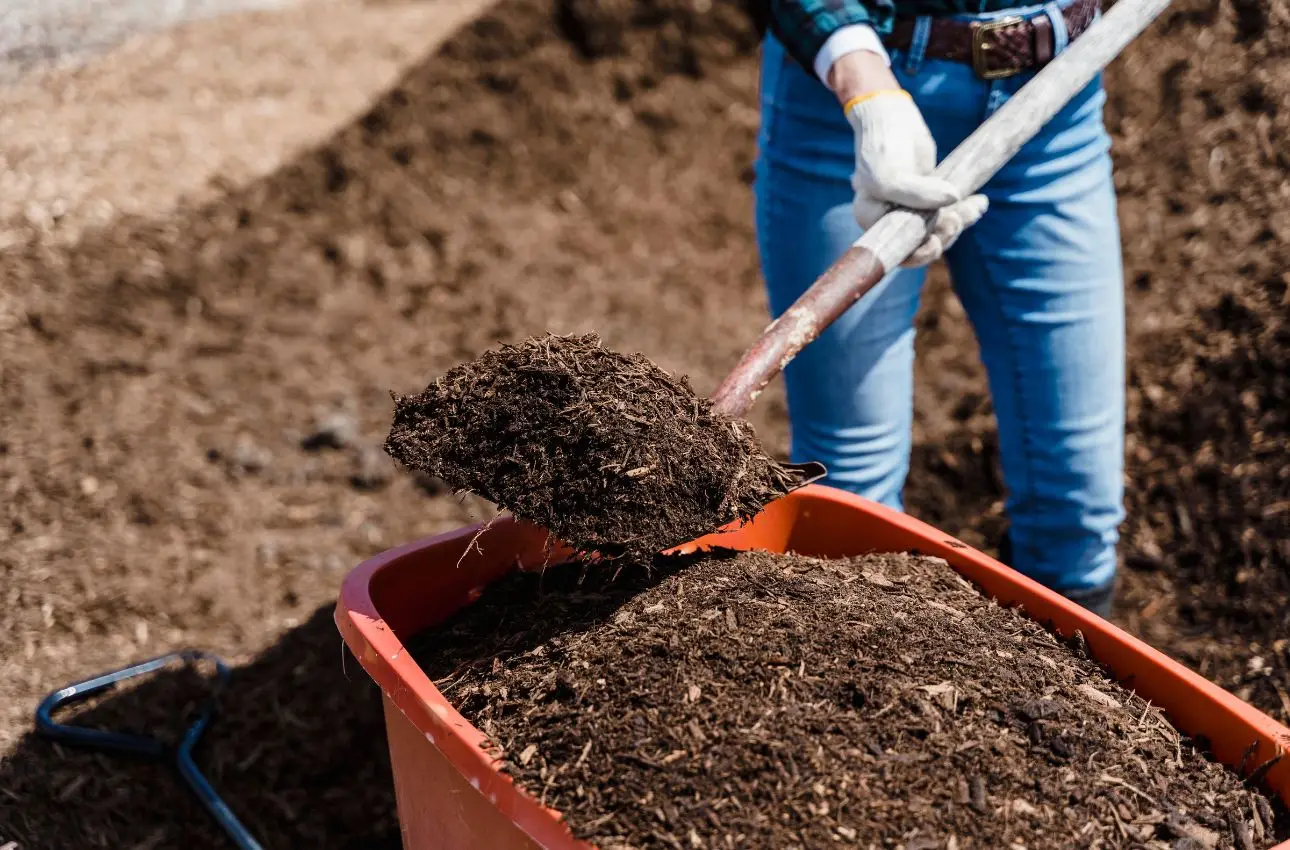 Creare un fertilizzante organico efficace con scarti domestici: la guida rapida Creare un fertilizzante organico efficace con scarti domestici: la guida rapida