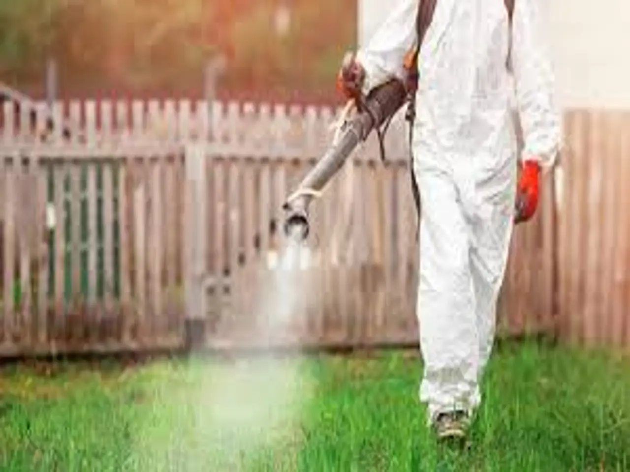 Diserbante biologico fai-da-te: guida pratica contro le erbacce del giardino estivo Diserbante biologico fai-da-te: guida pratica contro le erbacce del giardino estivo