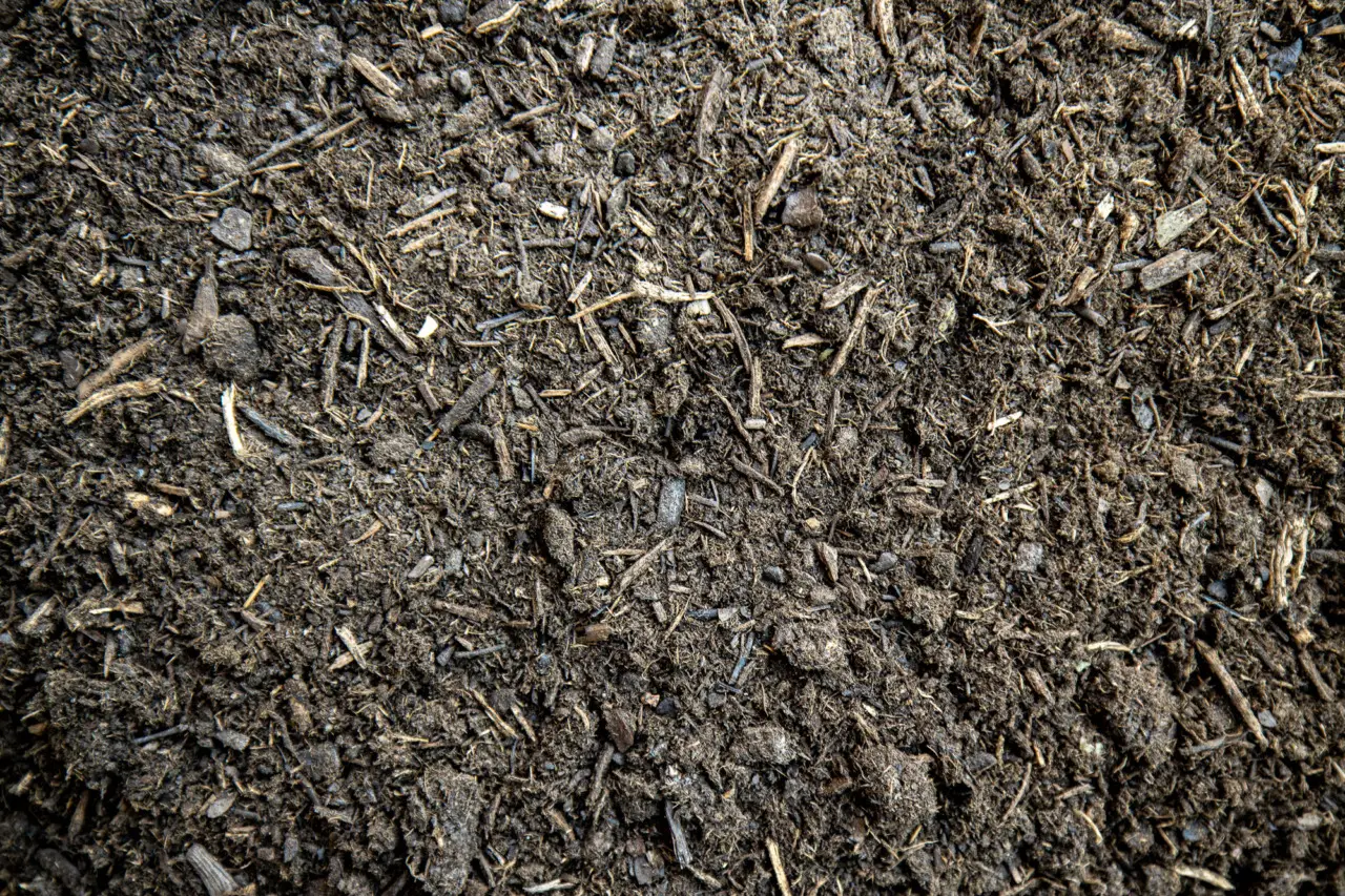 Pacciamatura organica contro le infestanti: istruzioni per un giardino sano e pulito Pacciamatura organica contro le infestanti: istruzioni per un giardino sano e pulito