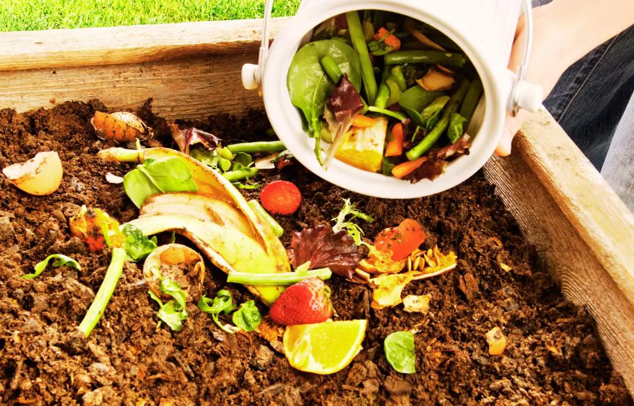 Compostaggio domestico: ecco come farlo anche in appartamento Compostaggio domestico: ecco come farlo anche in appartamento
