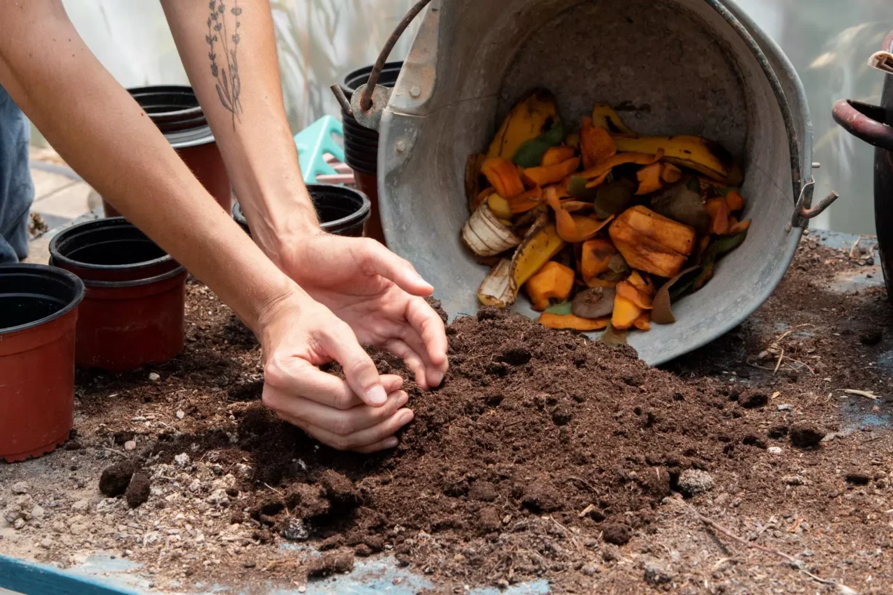 Compostaggio domestico: ecco come farlo anche in appartamento Compostaggio domestico: ecco come farlo anche in appartamento