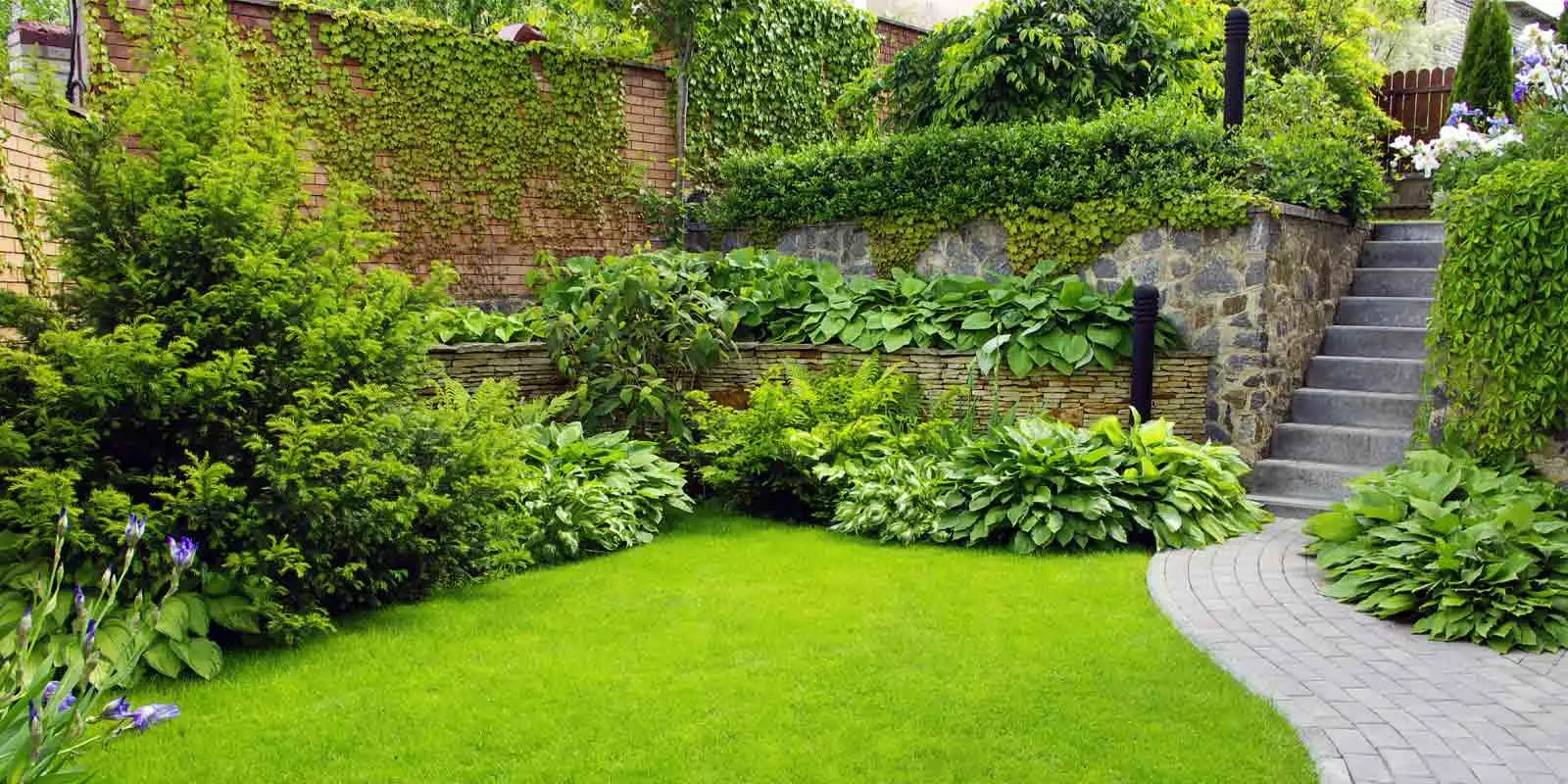 Cura del prato con rimedi naturali: ecco come farlo rinascere Cura del prato con rimedi naturali: ecco come farlo rinascere