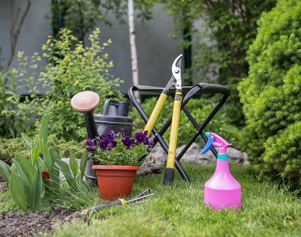 Come proteggere il giardino dal caldo estremo: consigli dei vivaisti Come proteggere il giardino dal caldo estremo: consigli dei vivaisti