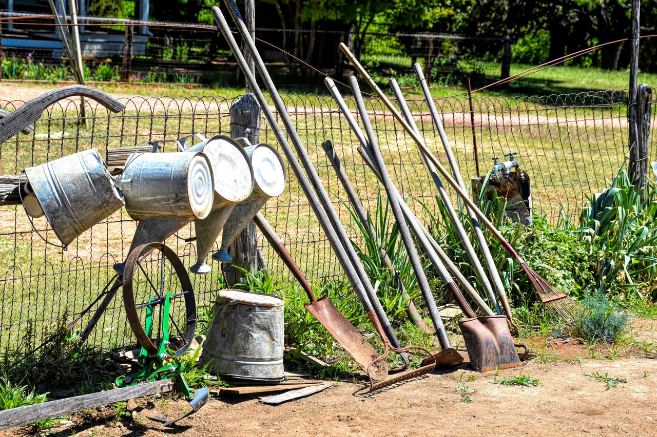 Come proteggere il giardino dal caldo estremo: consigli dei vivaisti Come proteggere il giardino dal caldo estremo: consigli dei vivaisti