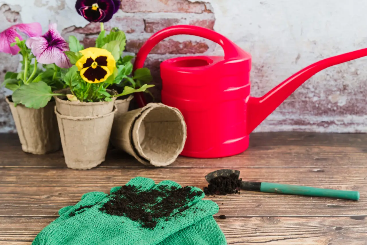 Come proteggere il giardino dal caldo estremo: consigli dei vivaisti Come proteggere il giardino dal caldo estremo: consigli dei vivaisti