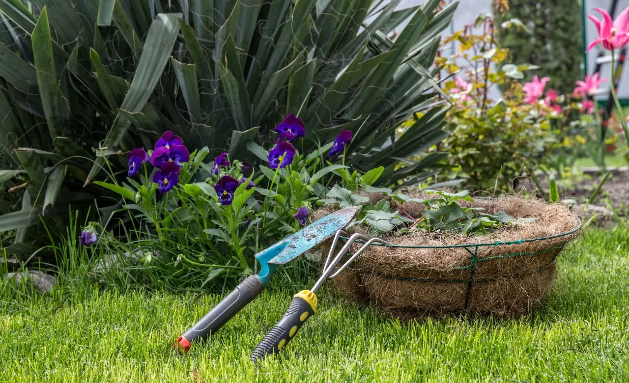 Come proteggere il giardino dal caldo estremo: consigli dei vivaisti Come proteggere il giardino dal caldo estremo: consigli dei vivaisti