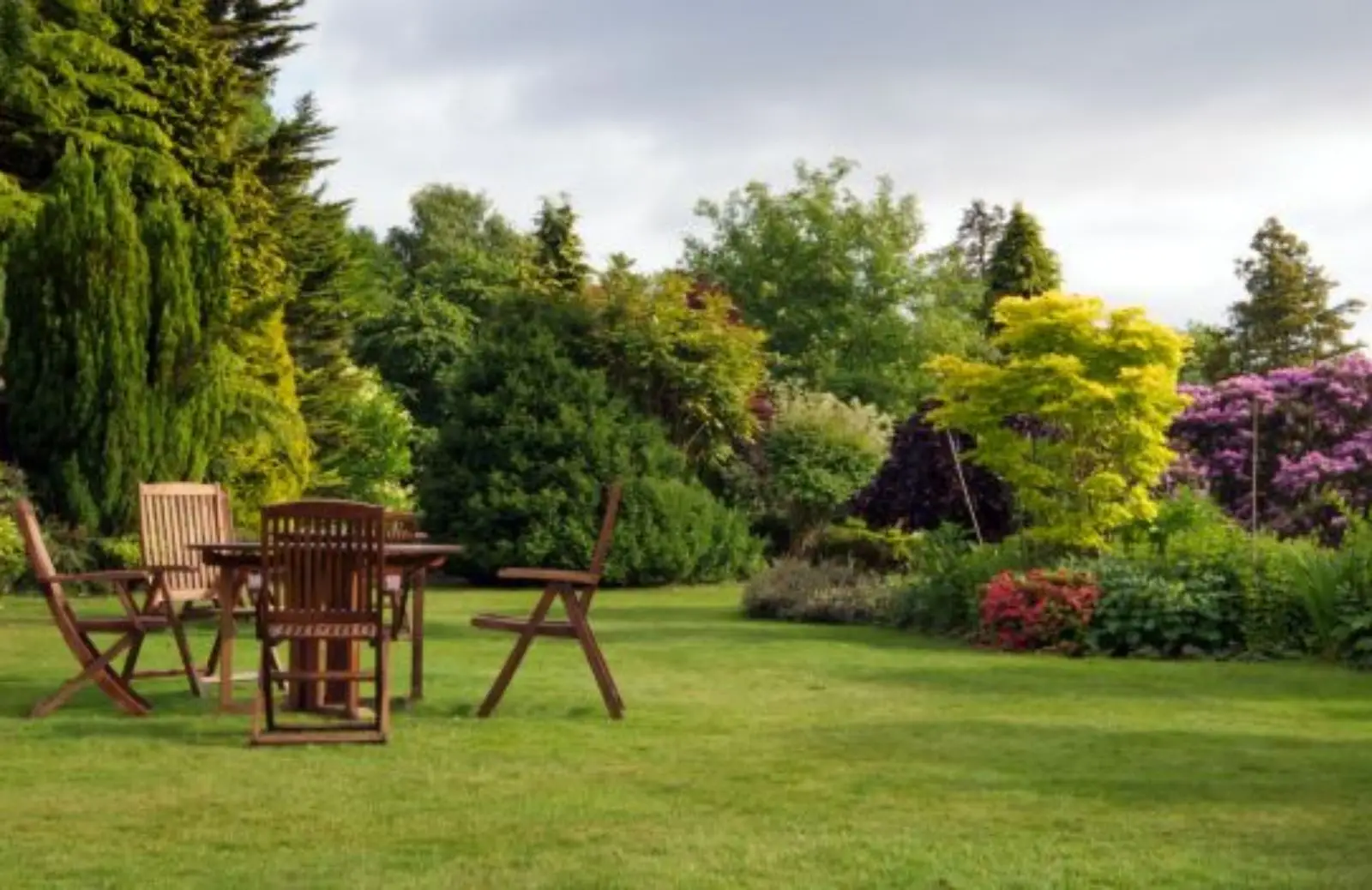 Alberi da piantare in giardino senza autorizzazioni: la lista completa Alberi da piantare in giardino senza autorizzazioni: la lista completa