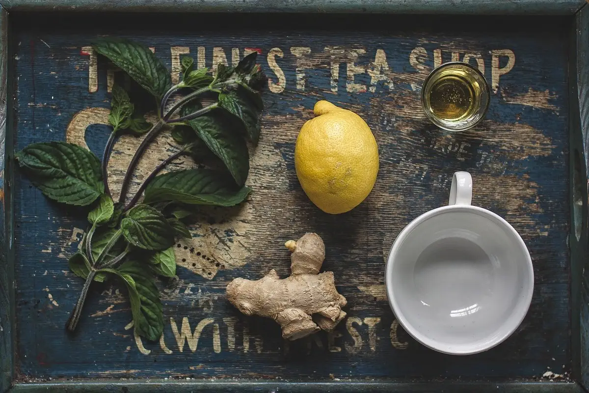 Come stimolare la digestione dopo cena: il trucco naturale usato da generazioni Come stimolare la digestione dopo cena: il trucco naturale usato da generazioni