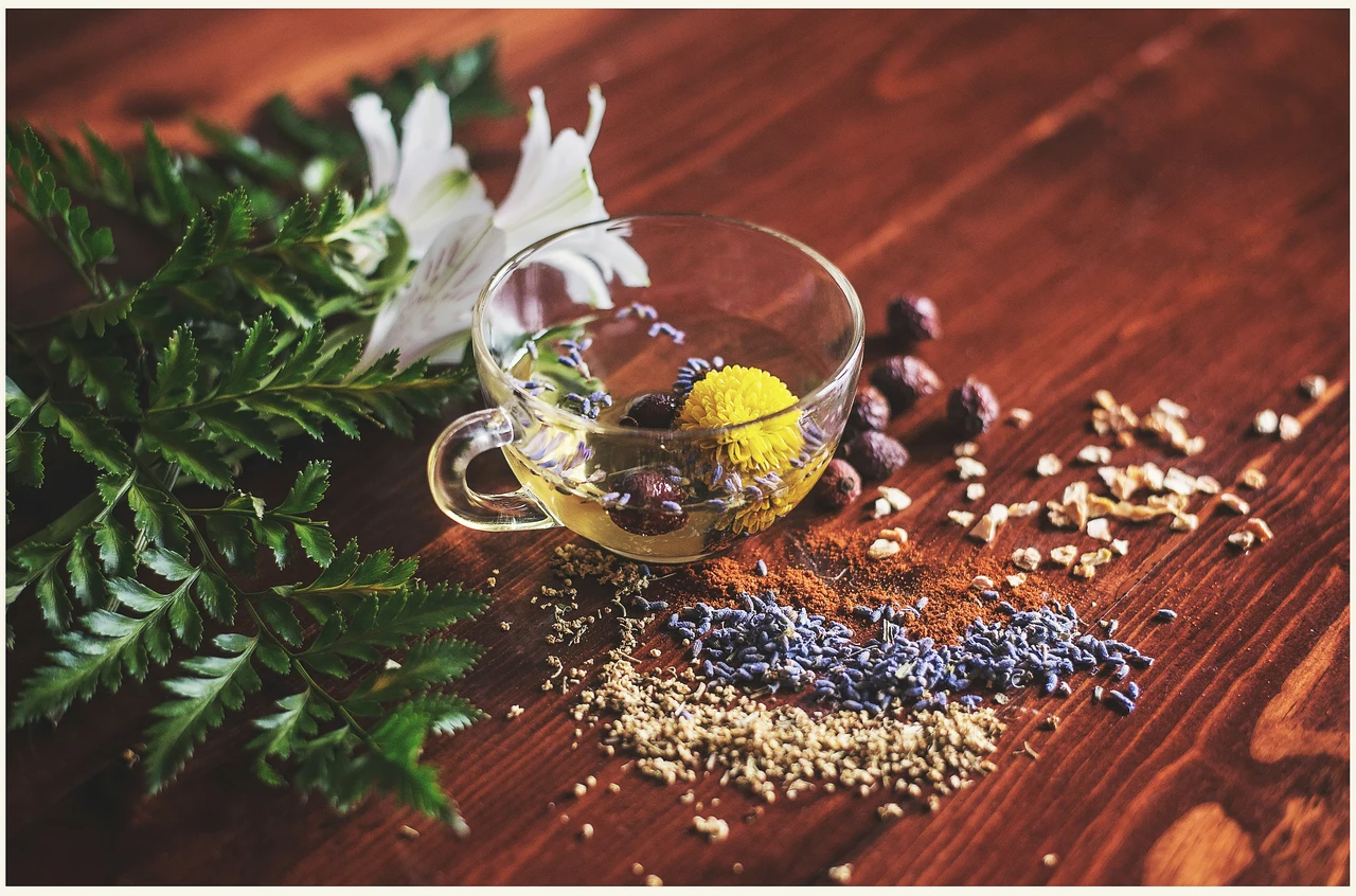 Come stimolare la digestione dopo cena: il trucco naturale usato da generazioni Come stimolare la digestione dopo cena: il trucco naturale usato da generazioni