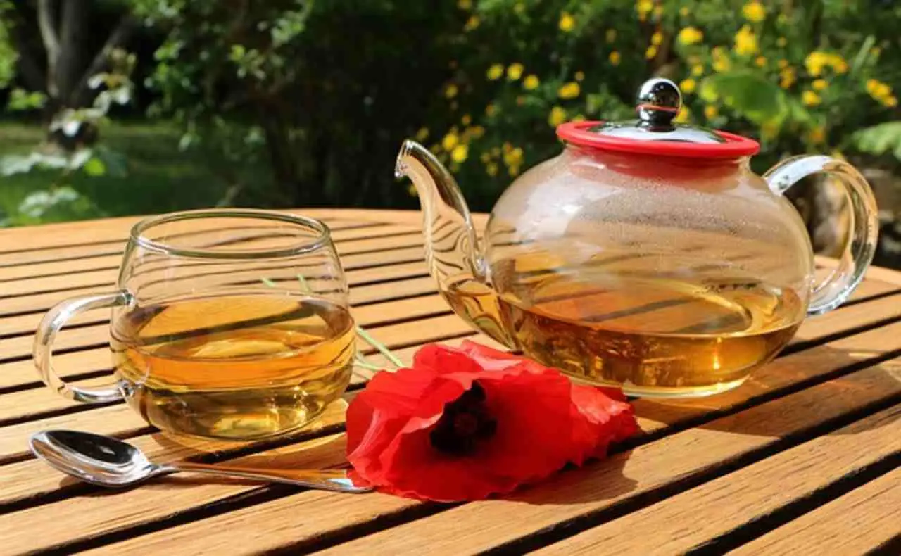 Ecco la tisana che protegge la digestione durante le ondate di caldo estivo Ecco la tisana che protegge la digestione durante le ondate di caldo estivo