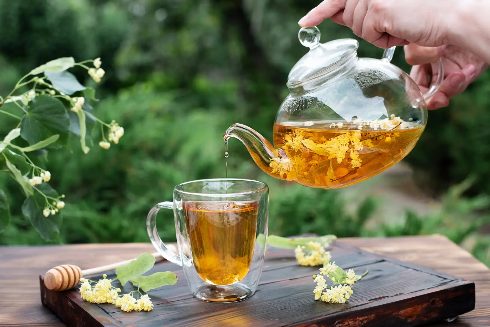 Ecco la tisana che protegge la digestione durante le ondate di caldo estivo Ecco la tisana che protegge la digestione durante le ondate di caldo estivo