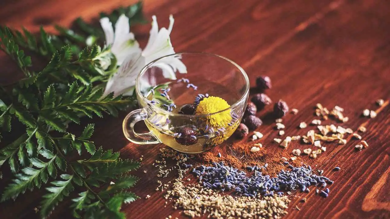 Preparare un infuso depurativo: le piante che aiutano il benessere epatico Preparare un infuso depurativo: le piante che aiutano il benessere epatico