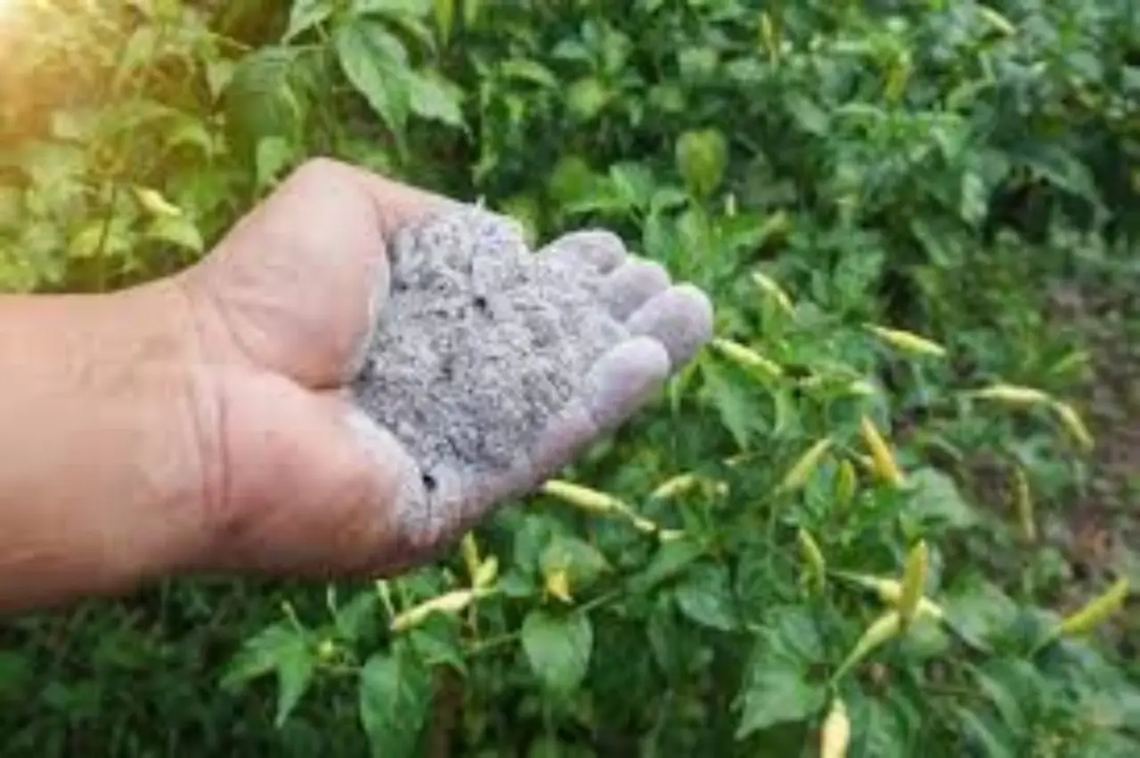 Creare un fertilizzante organico efficace con scarti domestici: la guida rapida Creare un fertilizzante organico efficace con scarti domestici: la guida rapida