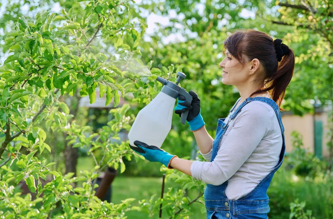 Prepara l’insetticida naturale con ingredienti comuni: risultati già dal primo utilizzo Prepara l’insetticida naturale con ingredienti comuni: risultati già dal primo utilizzo