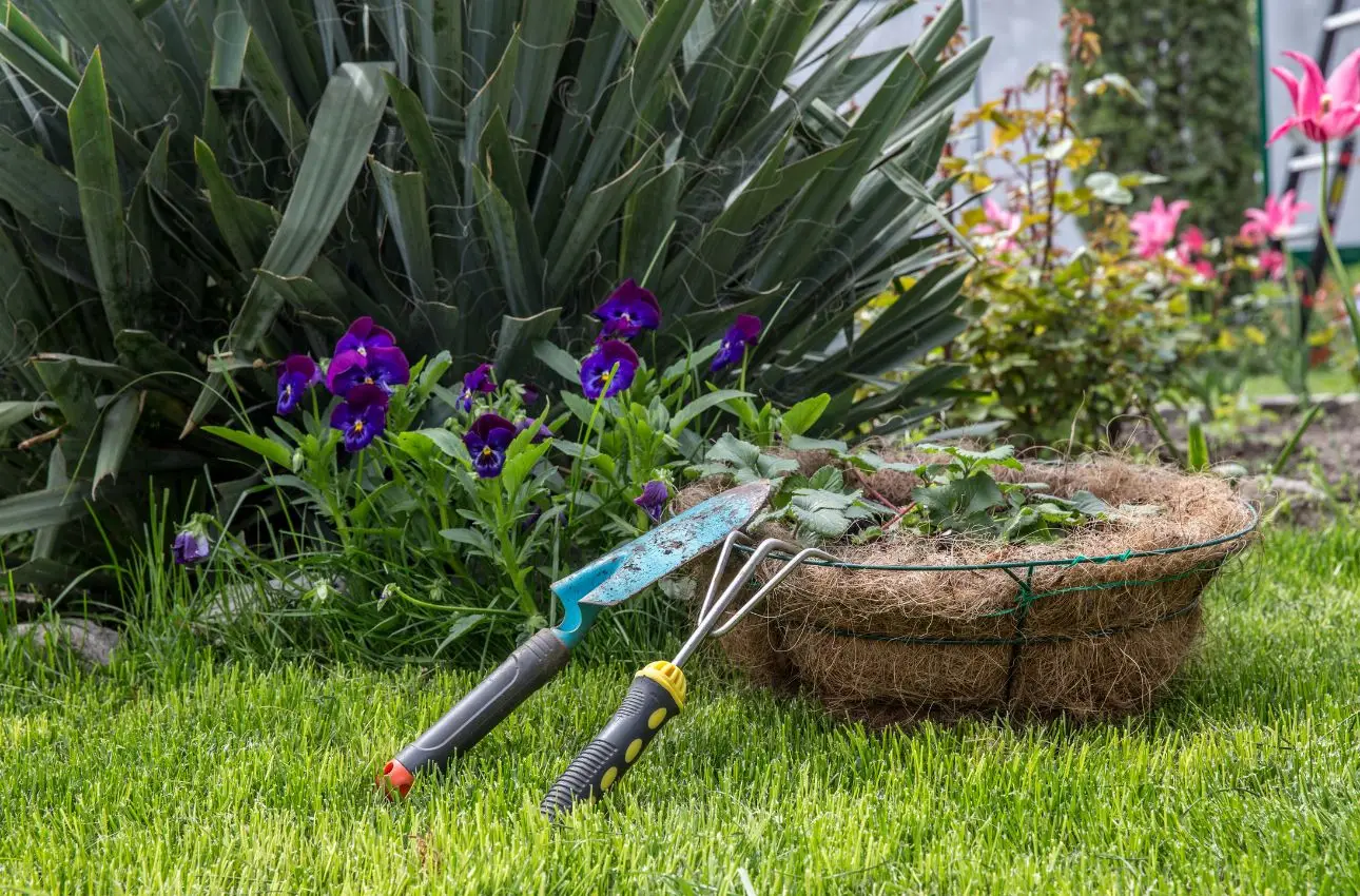 Pacciamatura organica contro le infestanti: istruzioni per un giardino sano e pulito Pacciamatura organica contro le infestanti: istruzioni per un giardino sano e pulito