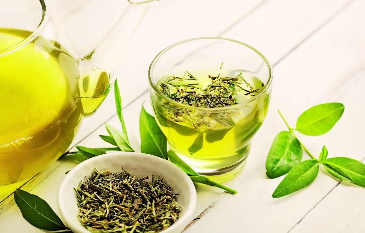 Tè verde freddo: proprietà e ricetta per sostenere il fegato nei mesi più caldi Tè verde freddo: proprietà e ricetta per sostenere il fegato nei mesi più caldi